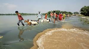 बिहार में बाढ़ का खतरा: नेपाल में बारिश से कोसी नदी उफान पर!