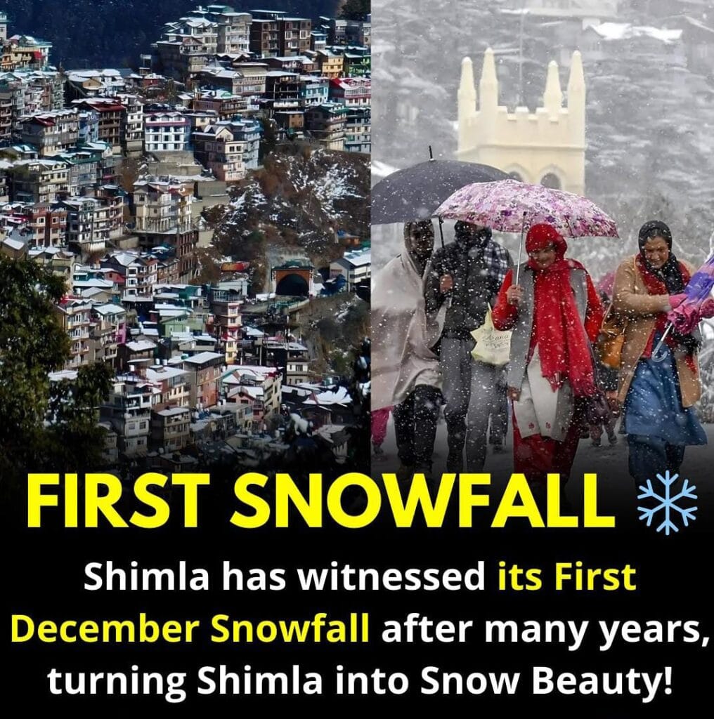 Shimla Witnesses First December Snowfall